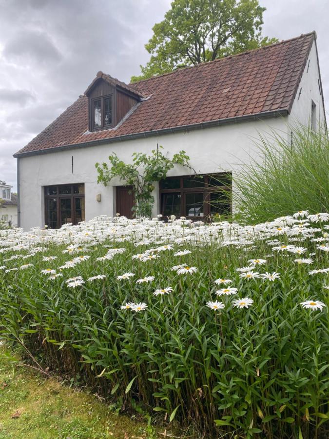Perlefien Villa Zottegem Luaran gambar
