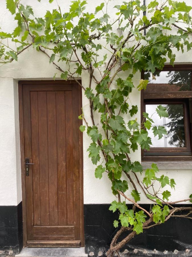 Perlefien Villa Zottegem Luaran gambar